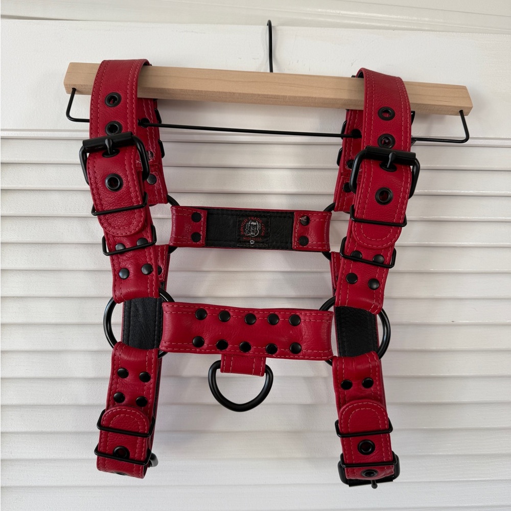 Red Leather Harness with Black Accents
